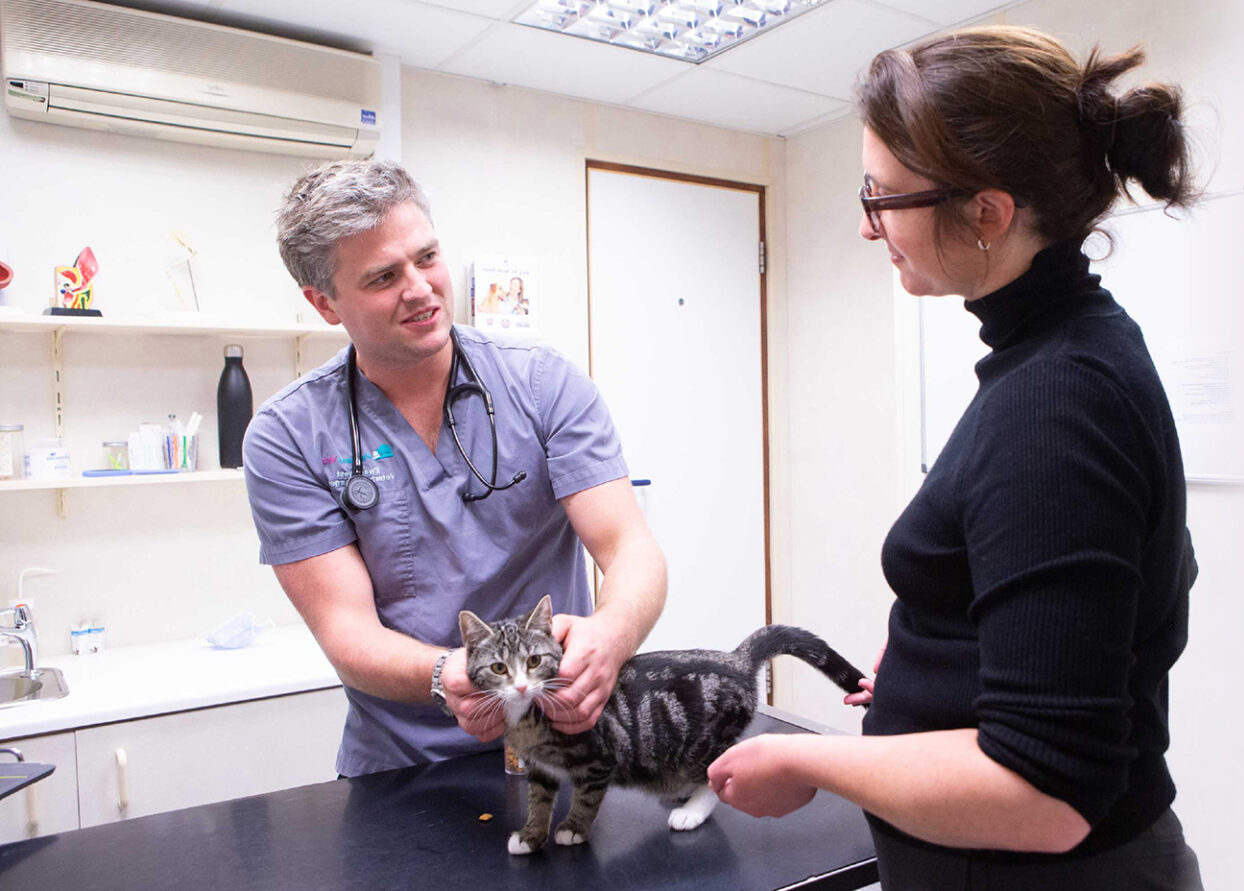 Pennard Vets: Veterinary clinic Kent