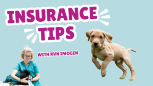 Insurance tips with RVN Imogen